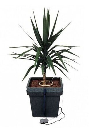 ghe-aquafarm-dripper-hydroponic-system-Terra-aquatica-CultiMate-S-with-plants-palm