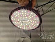 25W LED Фито СВЕТИЛЬНИК "Full Spectrum LED 25W Grow & Bloom"